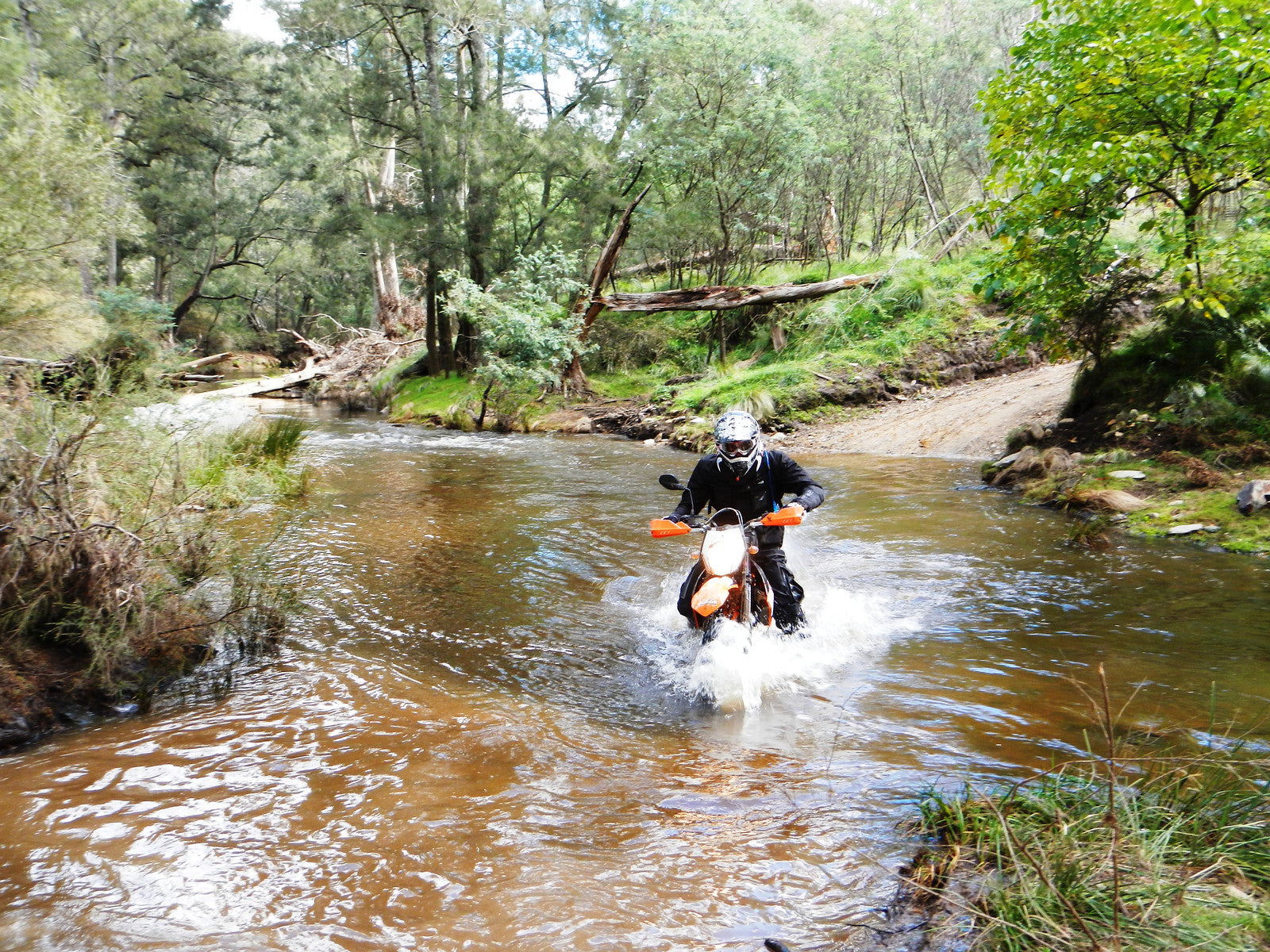 APC Rally Original – March 21st 2026